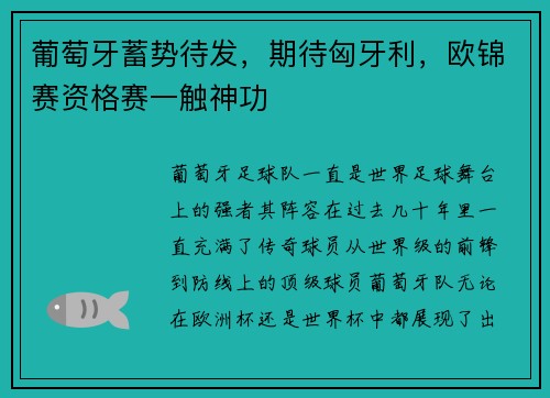 葡萄牙蓄势待发，期待匈牙利，欧锦赛资格赛一触神功